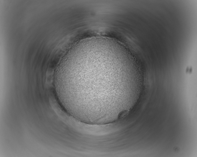X0000112520030200908311409