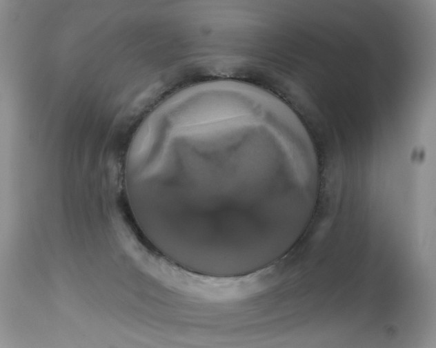 X0000112520031200908311409