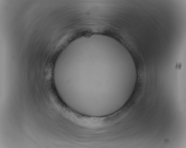 X0000112520032200908311409