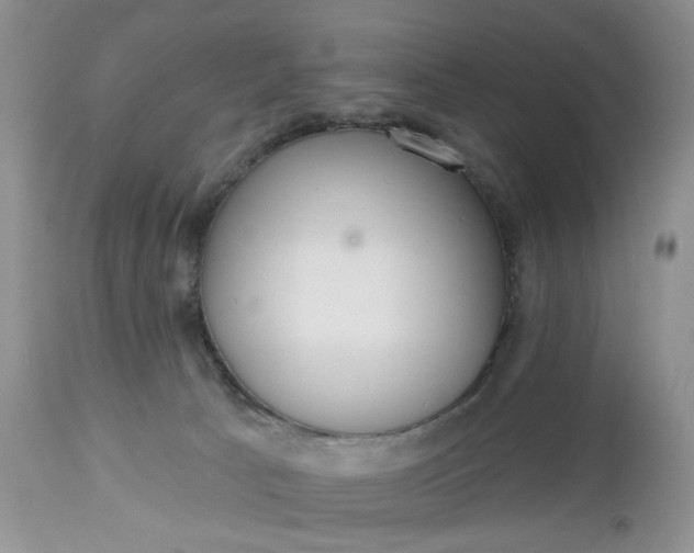 X0000112520033200908311409