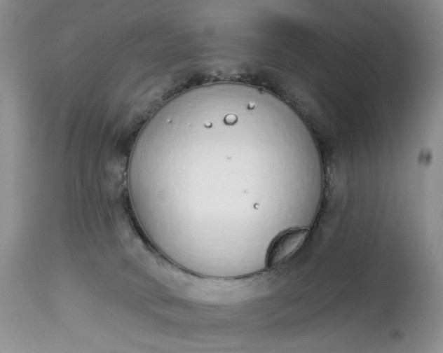 X0000112520034200908311409
