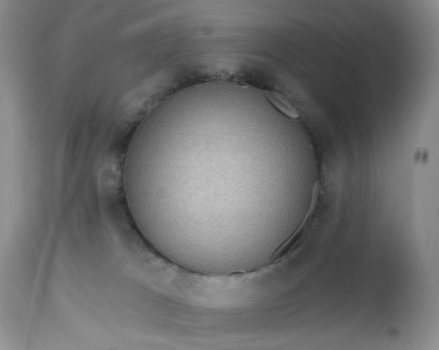 X0000112520037200908311409