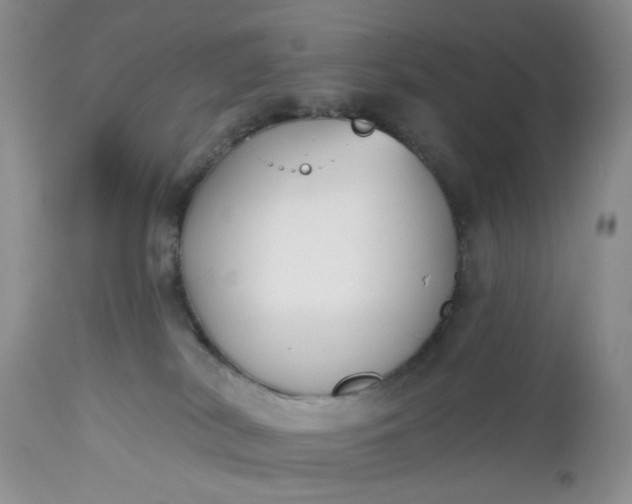 X0000112520038200908311409