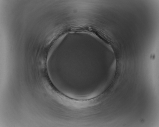 X0000112520039200908311409