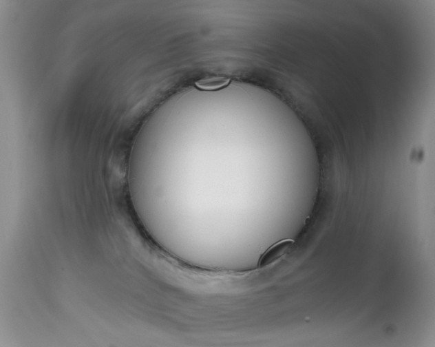 X0000112520040200908311409