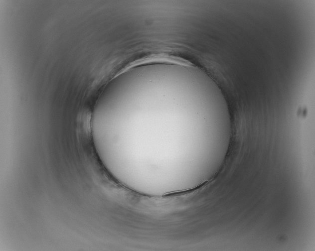 X0000112520041200908311409