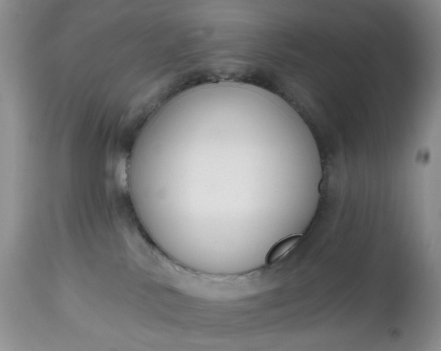 X0000112520042200908311408