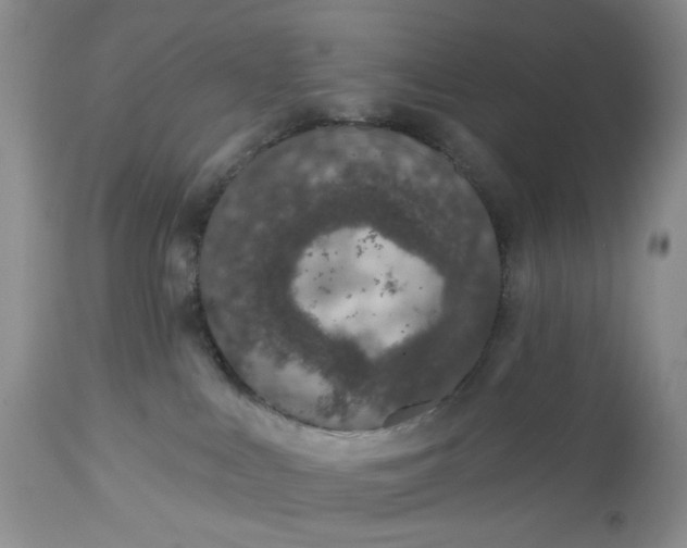 X0000112520043200908311408