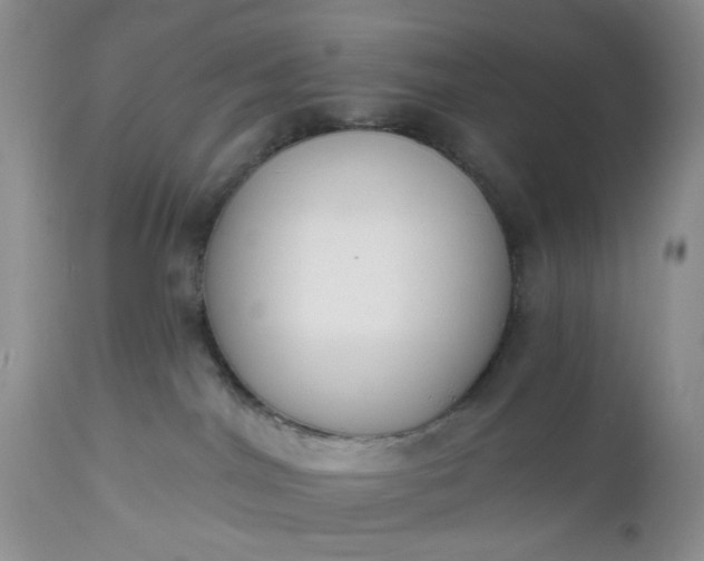 X0000112520044200908311408