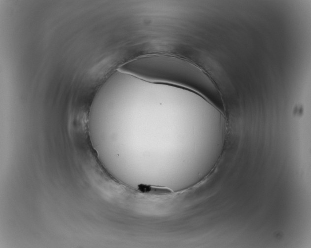 X0000112520045200908311408