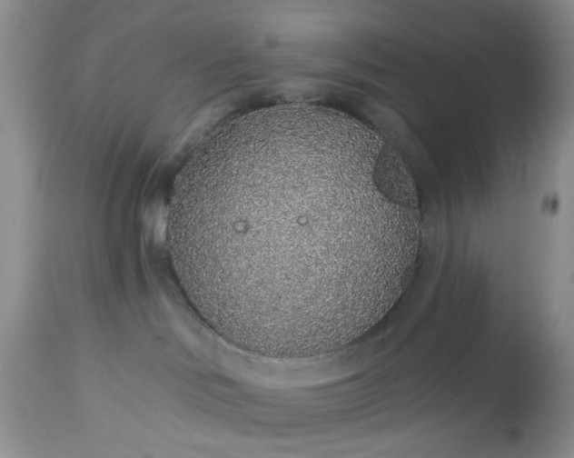 X0000112520046200908311408