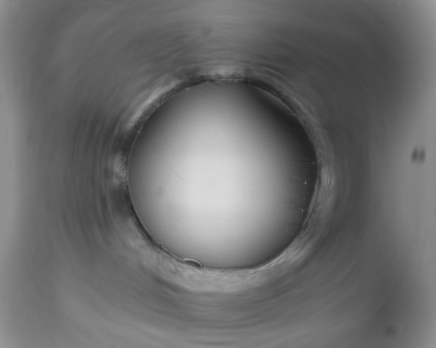 X0000112520048200908311408