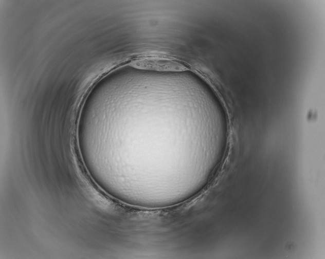 X0000112520049200908311408