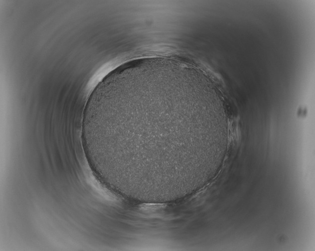 X0000112520051200908311408