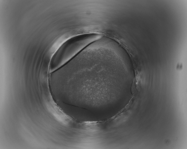 X0000112520052200908311408