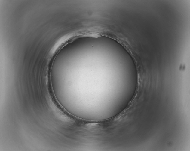 X0000112520054200908311408