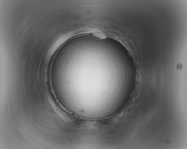 X0000112520055200908311408