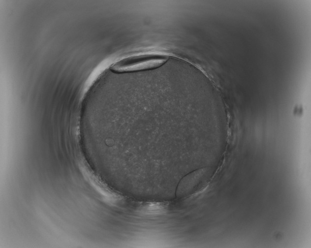 X0000112520056200908311408