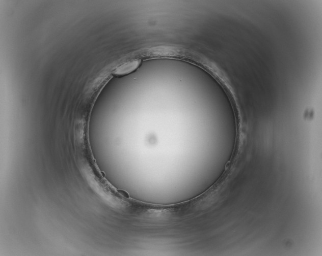 X0000112520057200908311408