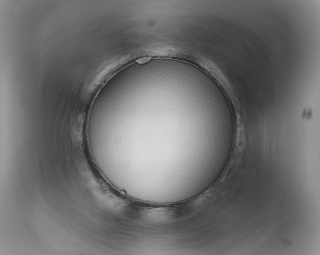 X0000112520058200908311408