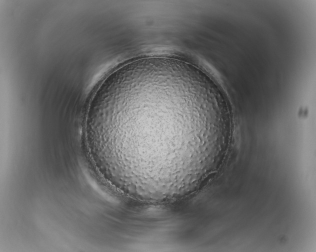 X0000112520059200908311408