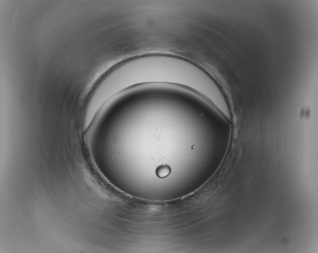 X0000112520060200908311408