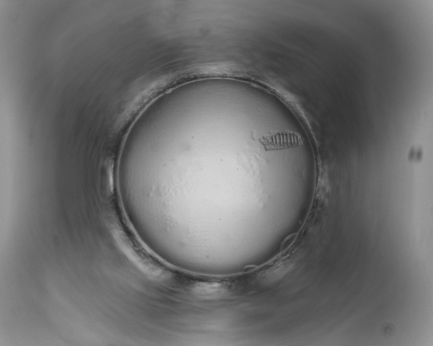 X0000112520061200908311408