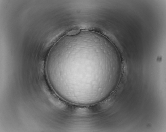 X0000112520066200908311408