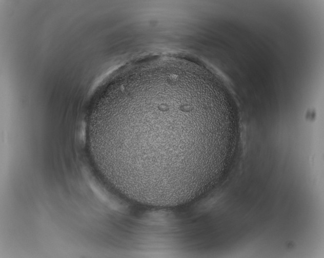X0000112520067200908311408