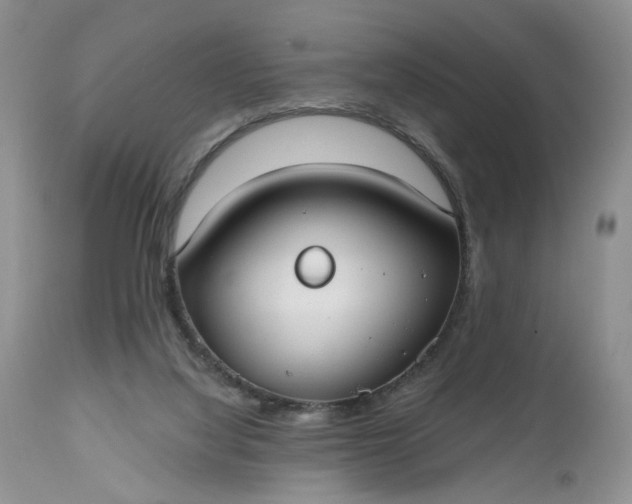 X0000112520068200908311408