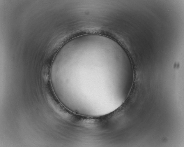 X0000112520069200908311408