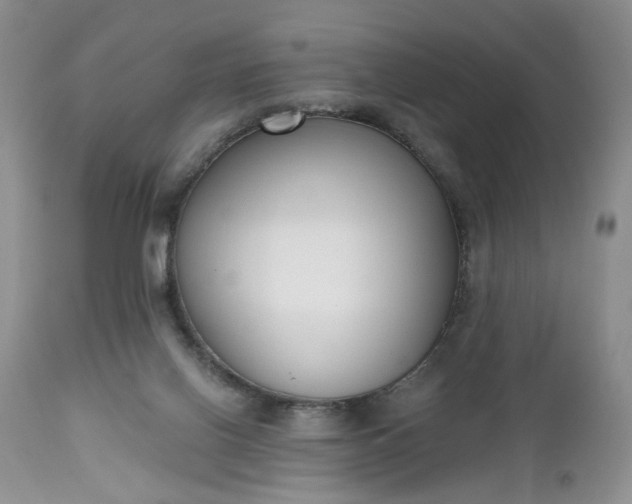 X0000112520070200908311408