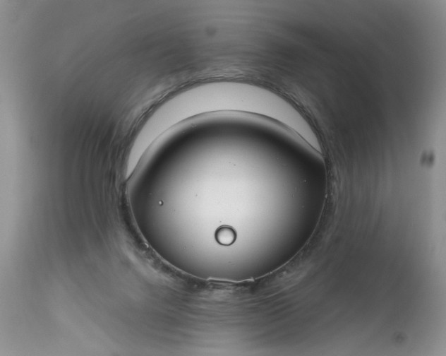 X0000112520072200908311408