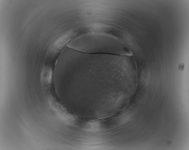 X0000112520076200908311408