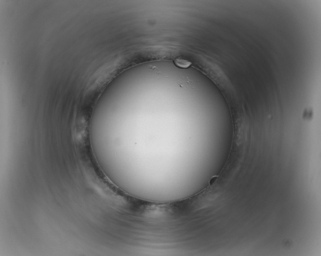 X0000112520077200908311408