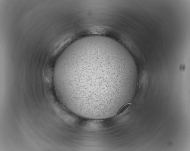 X0000112520078200908311408