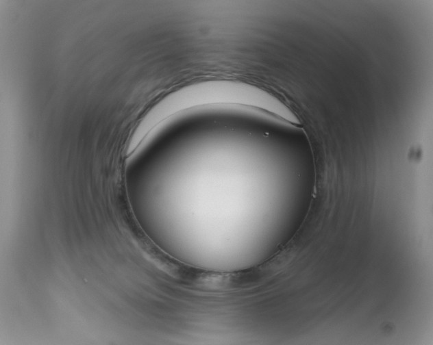 X0000112520084200908311408