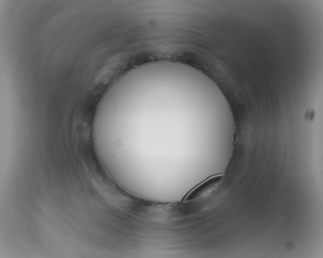 X0000112520086200908311408
