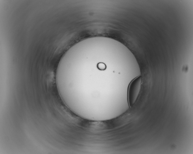 X0000112520087200908311408