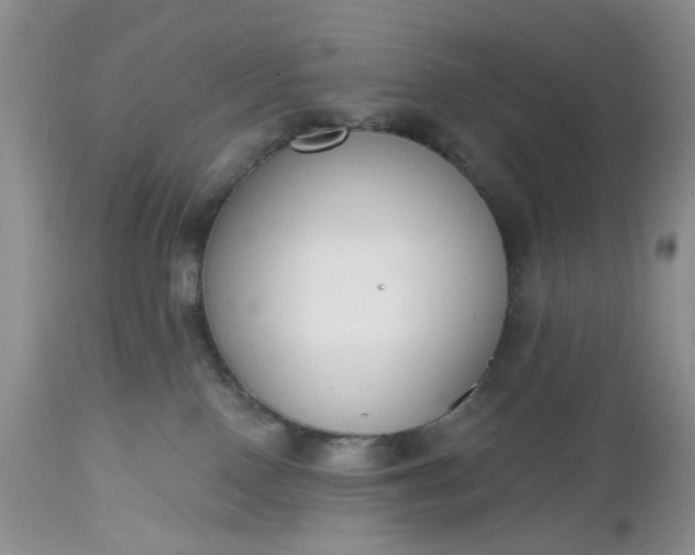 X0000112520090200908311408
