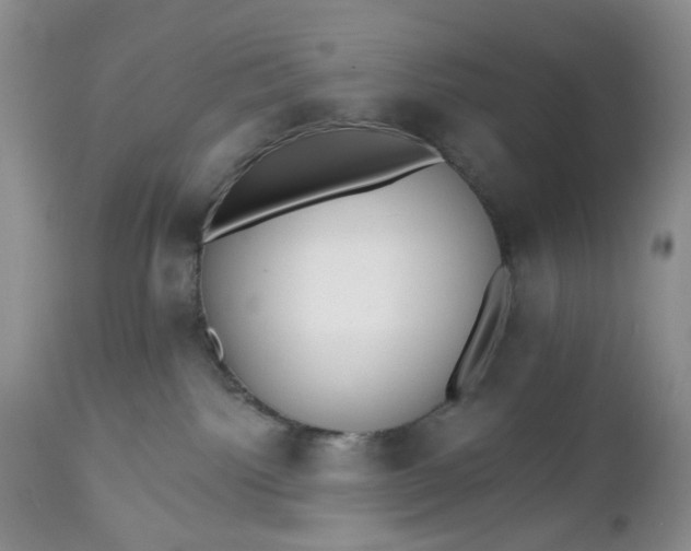 X0000112520092200908311408