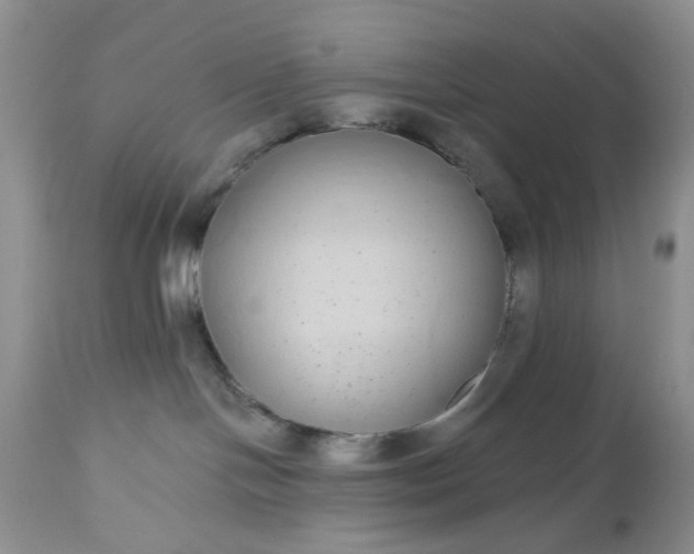 X0000112520094200908311408
