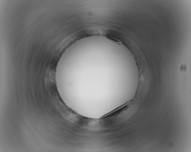 X0000112520096200908311408