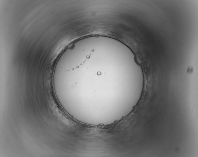 X0000112520098200908311407