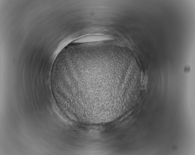 X0000112520099200908311407