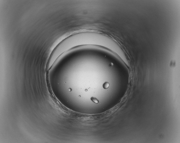 X0000112520100200908311407
