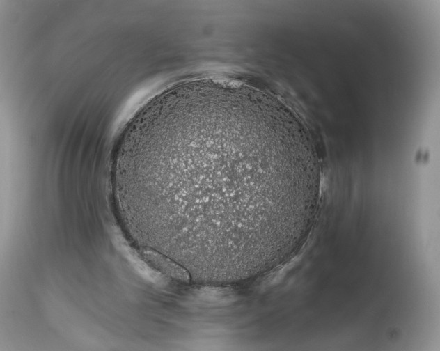 X0000112520101200908311407