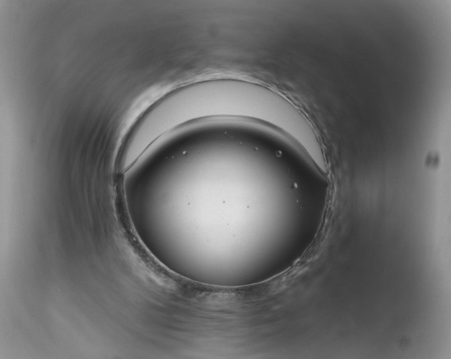 X0000112520104200908311407