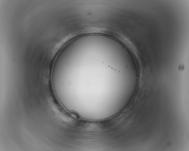 X0000112520107200908311407