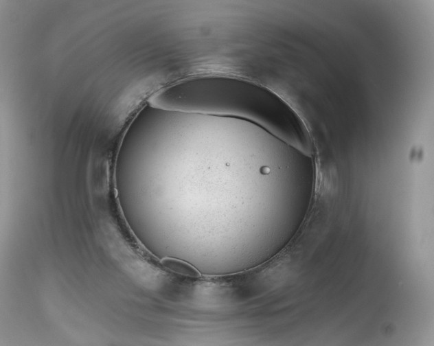 X0000112520109200908311407